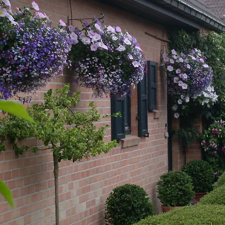 De Pluvier Bed & Breakfast *