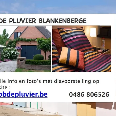 De Pluvier Blankenberge